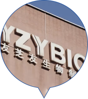 尊龙凯时人生就博·(中国)官网